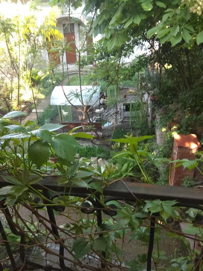 Mangal And Terrace In Center Apartment Lviv Buitenkant foto